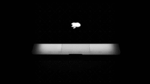 demo-attachment-2999-b526864a261fe513c11c49c9b66d6abe-1-scaled